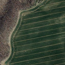 Satellite imagery of Kalkberg, DE
