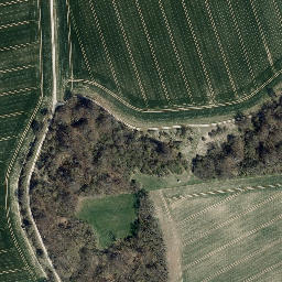 Satellite imagery of Bornberg, DE