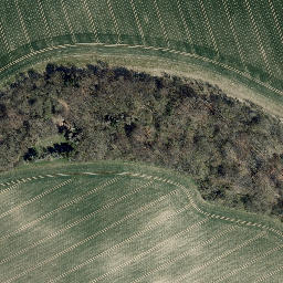 Satellite imagery of Bornberg, DE