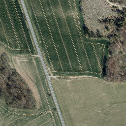 Satellite imagery of Bornberg, DE