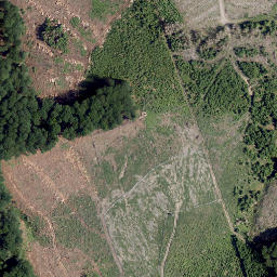 Satellite imagery of Heidberg, DE