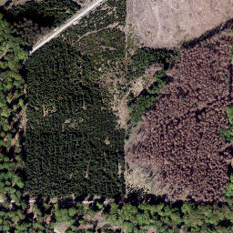 Satellite imagery of Kattenberg, DE