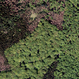 Satellite imagery of Calvarienberg, DE