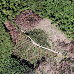 Satellite imagery of Öhningsberg, DE