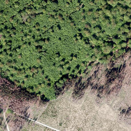 Satellite imagery of Öhningsberg, DE