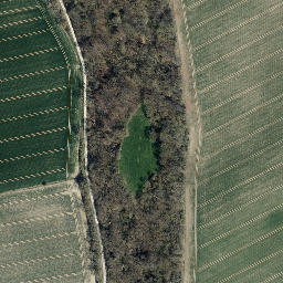 Satellite imagery of Bornberg, DE
