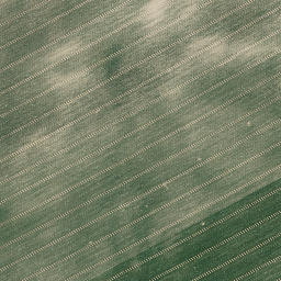 Satellite imagery of Bornberg, DE