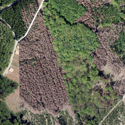 Satellite imagery of Heidberg, DE