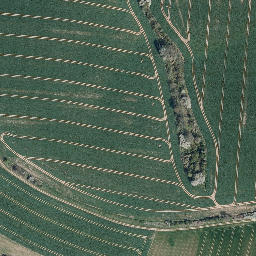 Satellite imagery of Questenberg, DE