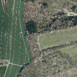 Satellite imagery of Questenberg, DE