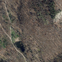 Satellite imagery of Burg Bodenstein Wintzigerode, DE