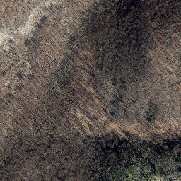 Satellite imagery of Burg Bodenstein Wintzigerode, DE