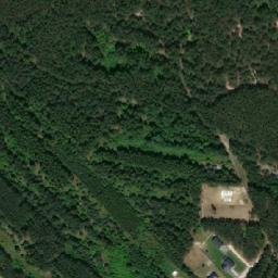 Satelita