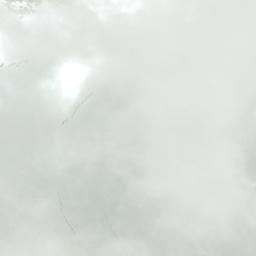 Satellite imagery of Sorcerer Mountain, CA