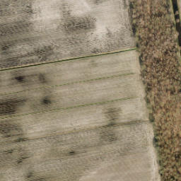 Satellite imagery of Paal Vossenholen, NL