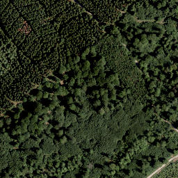 Satellite imagery of Wesselskopf, DE
