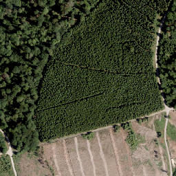 Satellite imagery of Wesselskopf, DE