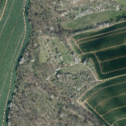 Satellite imagery of Questenberg, DE