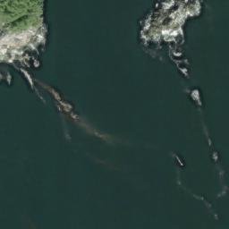 Satellite imagery of Dimsey Point, CA