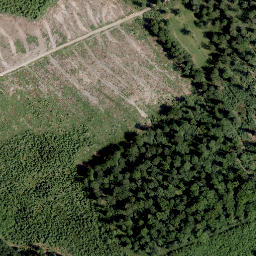 Satellite imagery of Wesselskopf, DE
