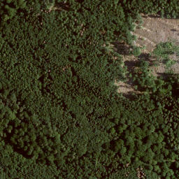 Satellite imagery of Kulikekopf, DE