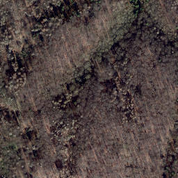 Satellite imagery of Iberg, DE
