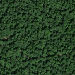 Satellite imagery of Langenberg, DE