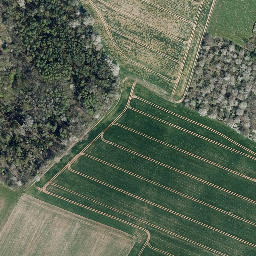 Satellite imagery of Nonnenberg, DE