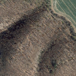 Satellite imagery of Burg Bodenstein Wintzigerode, DE