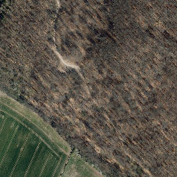 Satellite imagery of Hasenburg, DE