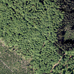 Satellite imagery of Kleiner Fahrenberg, DE