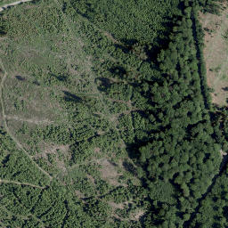 Satellite imagery of Liebfrauenberg, DE