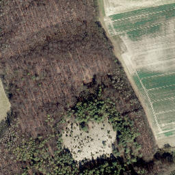 Satellite imagery of Iberg, DE