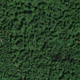 Satellite imagery of Langenberg, DE