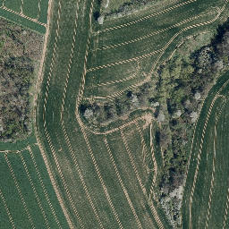 Satellite imagery of Birkenberg, DE