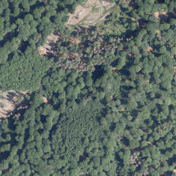 Satellite imagery of Scharfen-Berg, DE