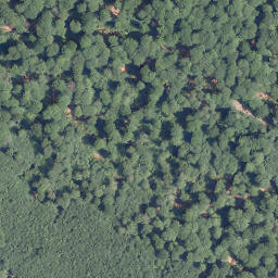 Satellite imagery of Scharfen-Berg, DE