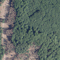Satellite imagery of Hamelsberg, DE