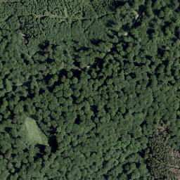 Satellite imagery of Liebfrauenberg, DE