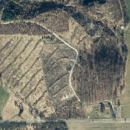 Satellite imagery of Steinberg, DE