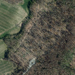 Satellite imagery of Mittelberg, DE