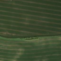Satellite imagery of Sternberg, DE