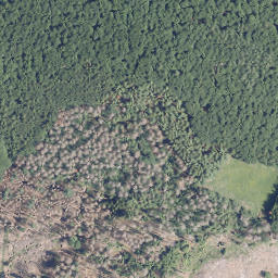 Satellite imagery of Hamelsberg, DE