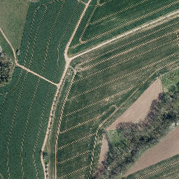 Satellite imagery of Birkenberg, DE