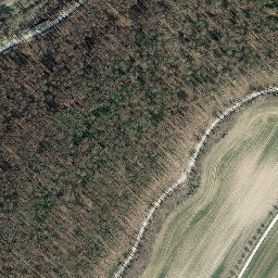 Satellite imagery of Mittelberg, DE
