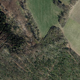 Satellite imagery of Mittelberg, DE