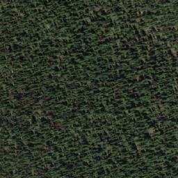 Satellite imagery of Hamilton Ridge, CA
