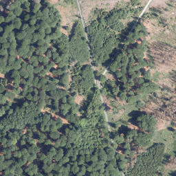 Satellite imagery of Hamelsberg, DE