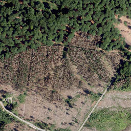 Satellite imagery of Phankopf, DE