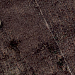 Satellite imagery of Hoher Steiger, DE